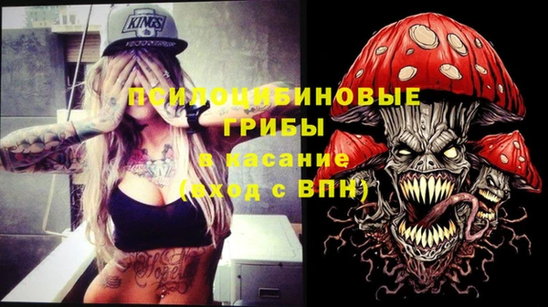 ALPHA PVP Верея