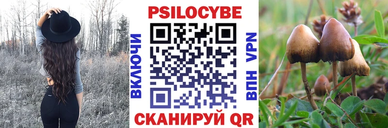 Галлюциногенные грибы мицелий  Купить закладки  Верхний Тагил 