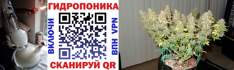 Бошки марихуана White Widow  Купить закладки  Верхний Тагил 